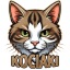 kociaki.eu